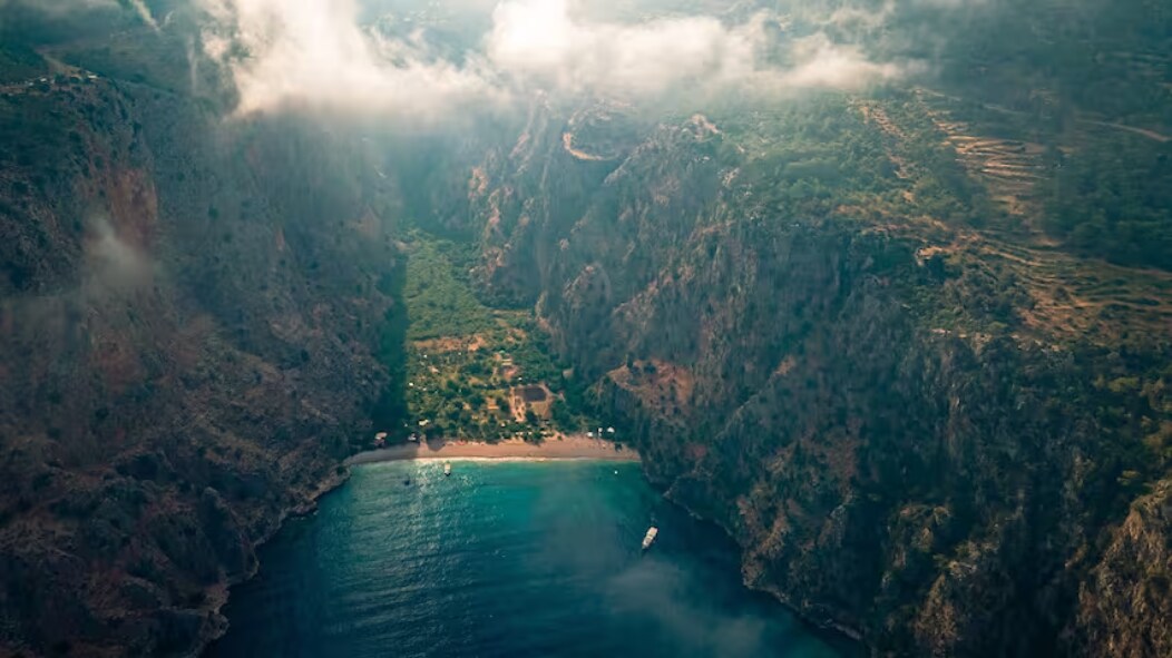 At the Beach Butterfly Valley