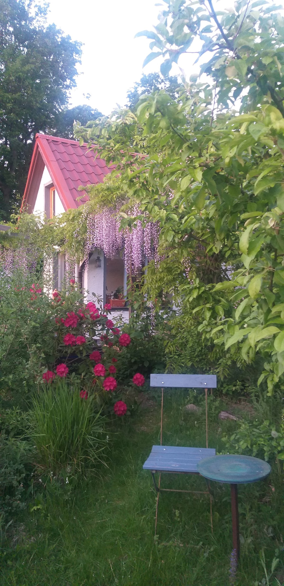 梦想着花园别墅。