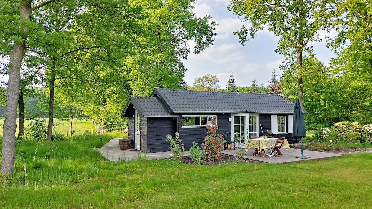 Knus houten huisje 'Duyn en Dael'