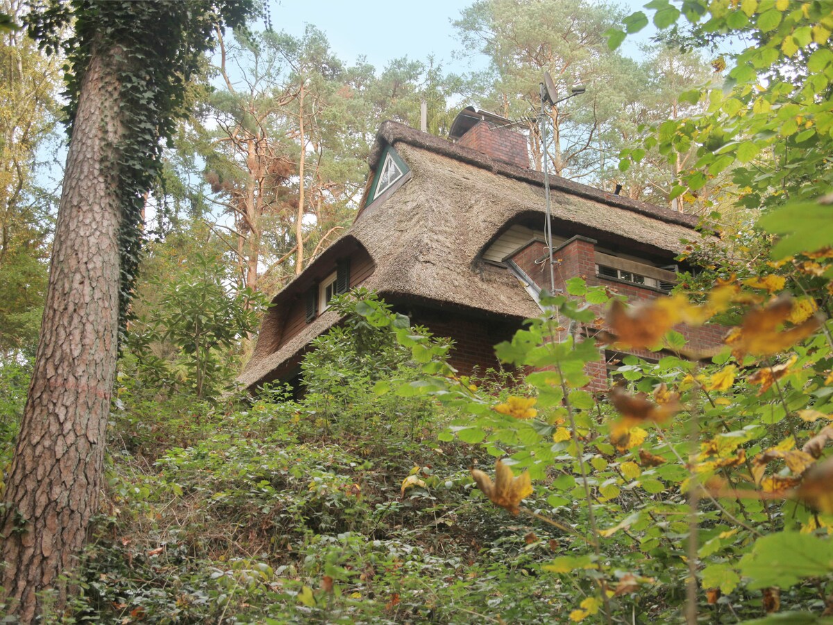 Waldhaus am Drüsensee