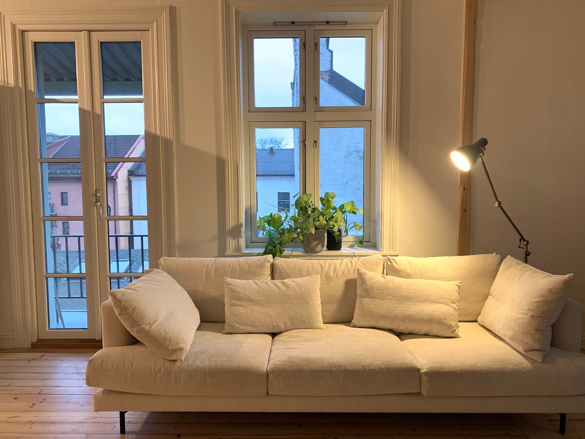 Grunerløkka的迷人公寓