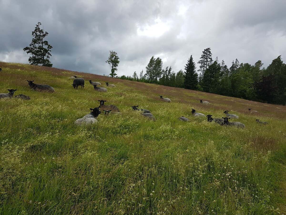 Bo på en gård på småländska höglandet.