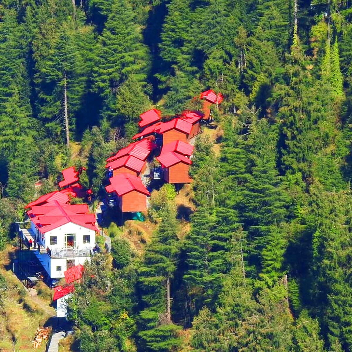 Unique Machan shape cottages