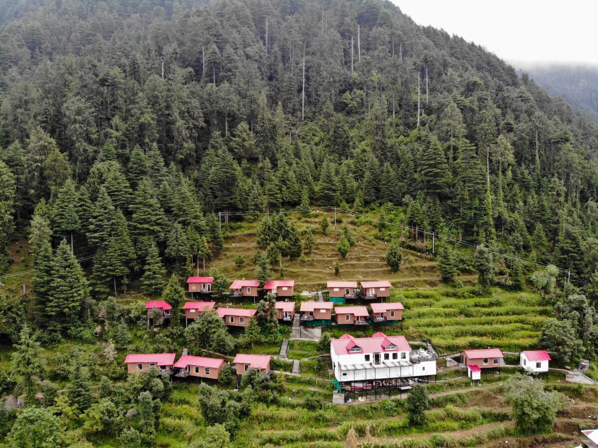 Unique Machan shape cottages