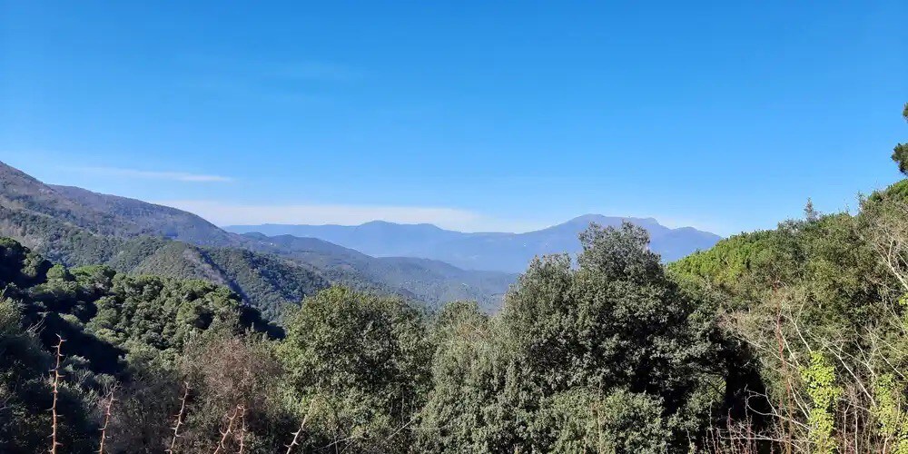 Tiny House en Masia Parque Natural del Montnegre