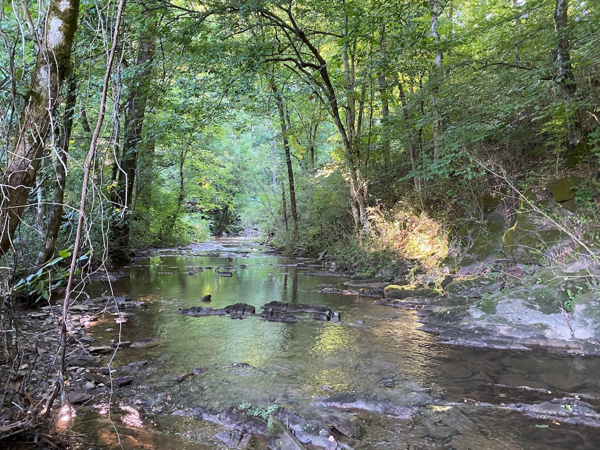 1 - Creekside Campsite # 1