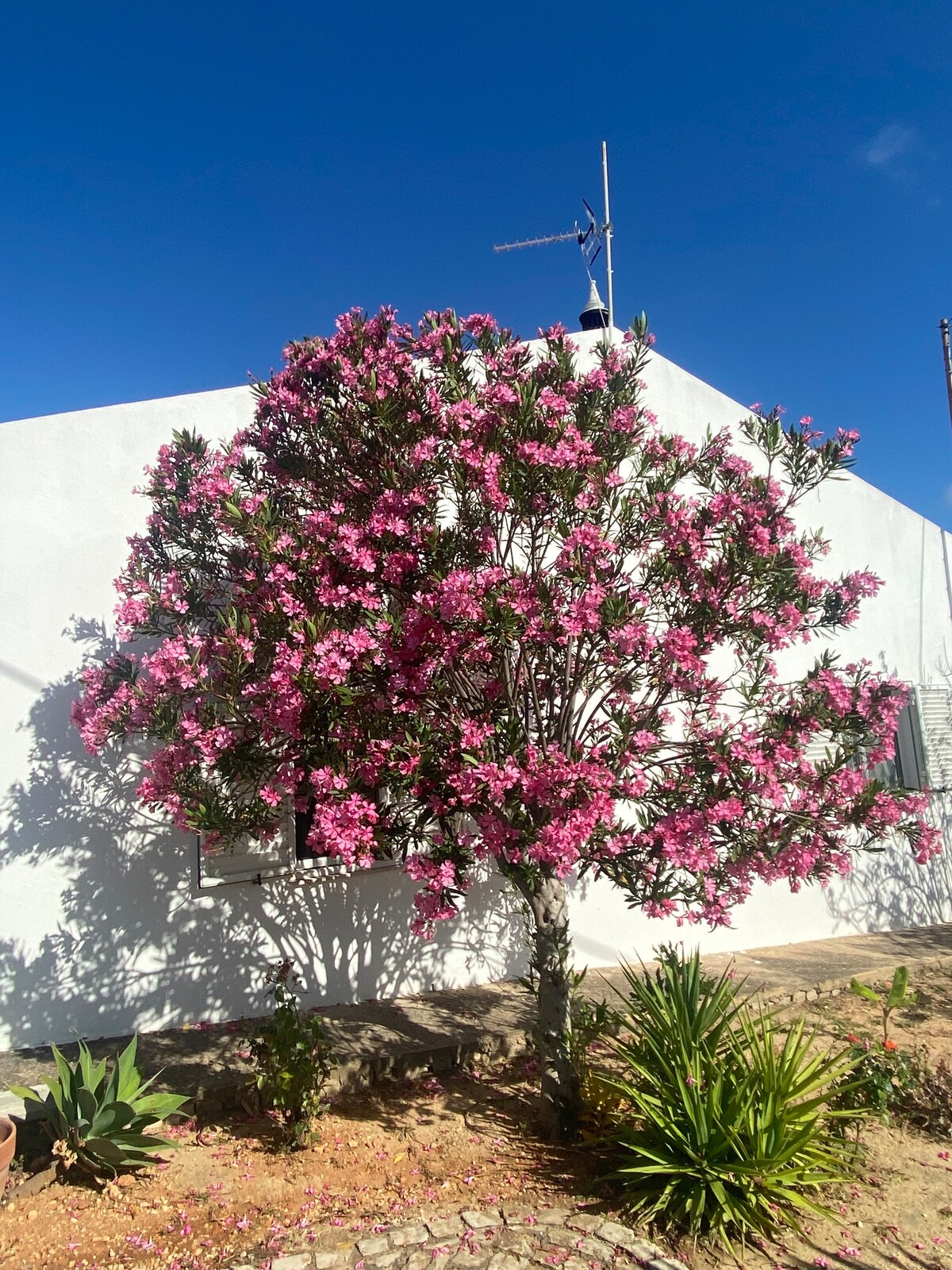 Casa Margarita : Maison de charme à Almancil