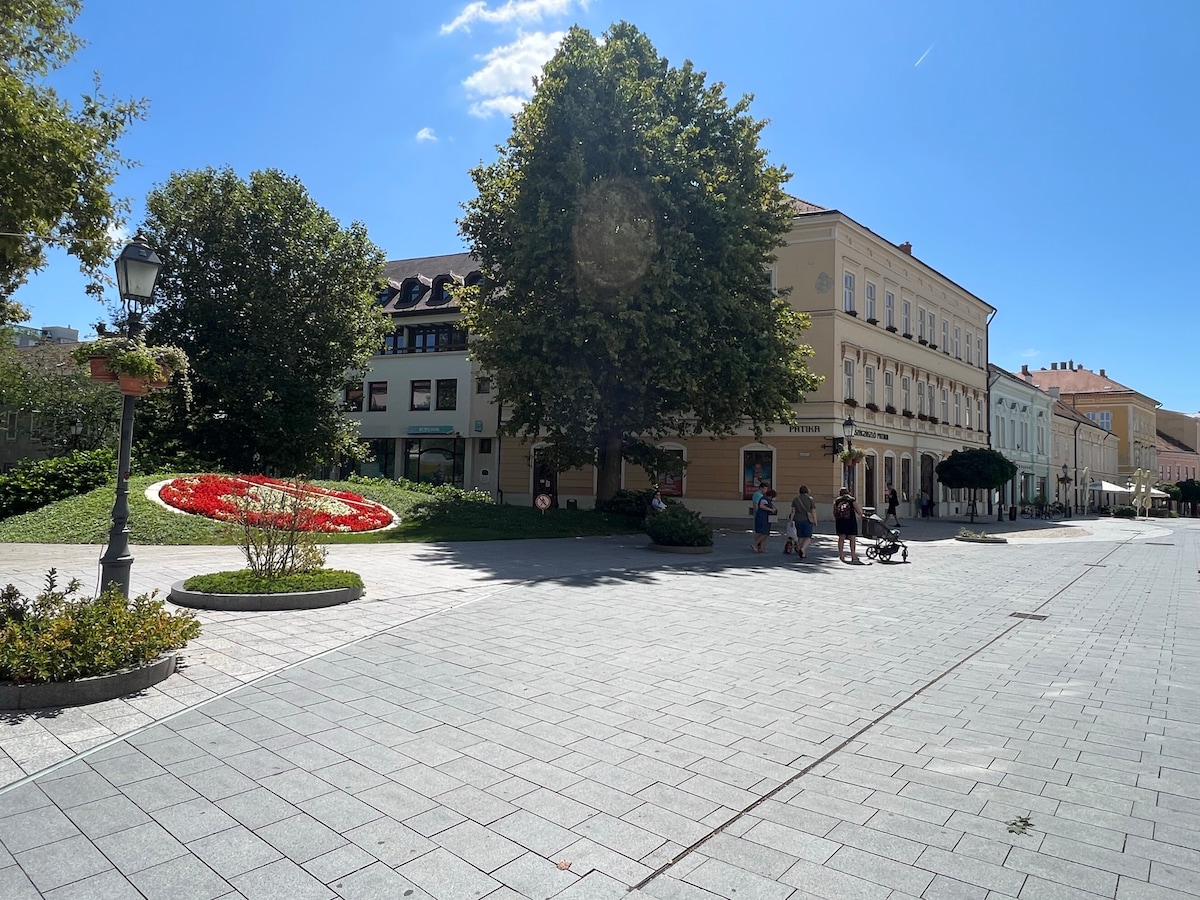 Apartment in the heart of the city