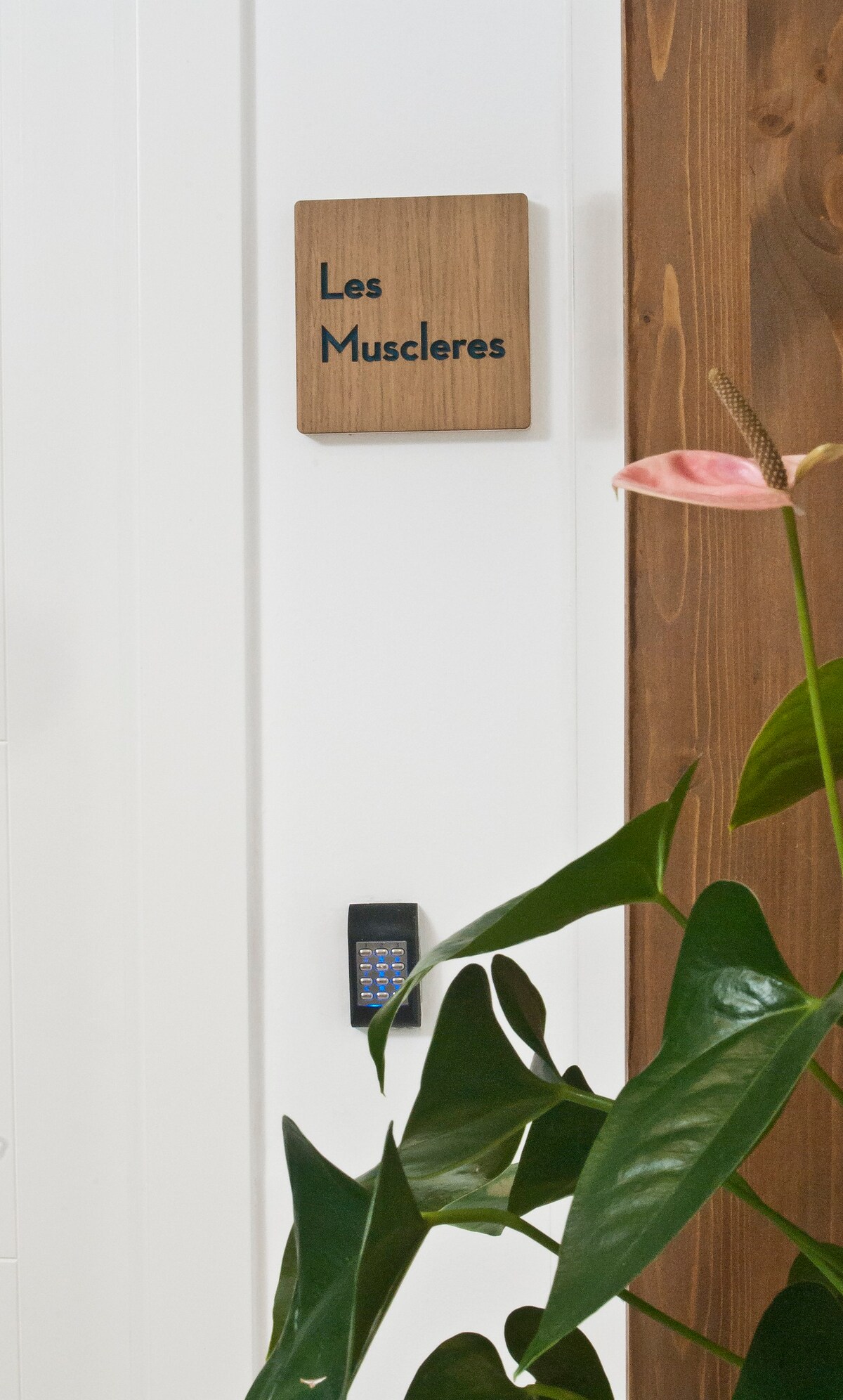 Studio Les Muscleres