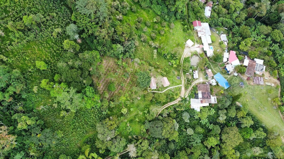 Ecohospedaje rural las violetas.