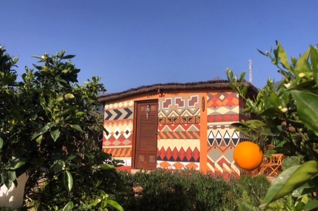 Afrikan Krisant Tenerife, Casa Rural Ecologica
