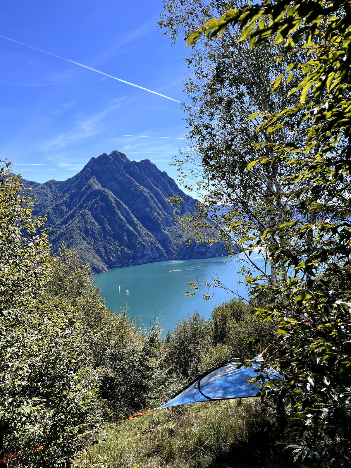 TreeTentItaly_Dormi sospeso tra gli alberi_betulla