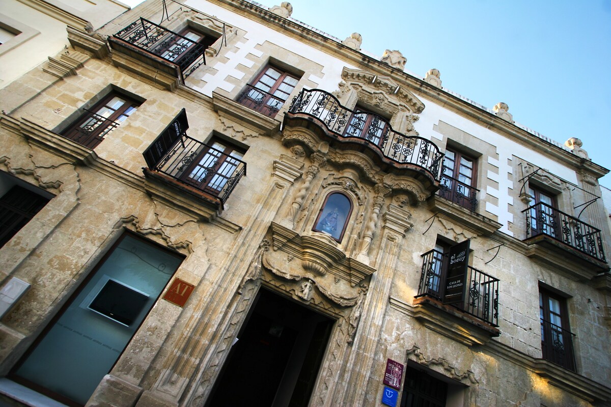Casa Palacio de los Leones 2宿舍。