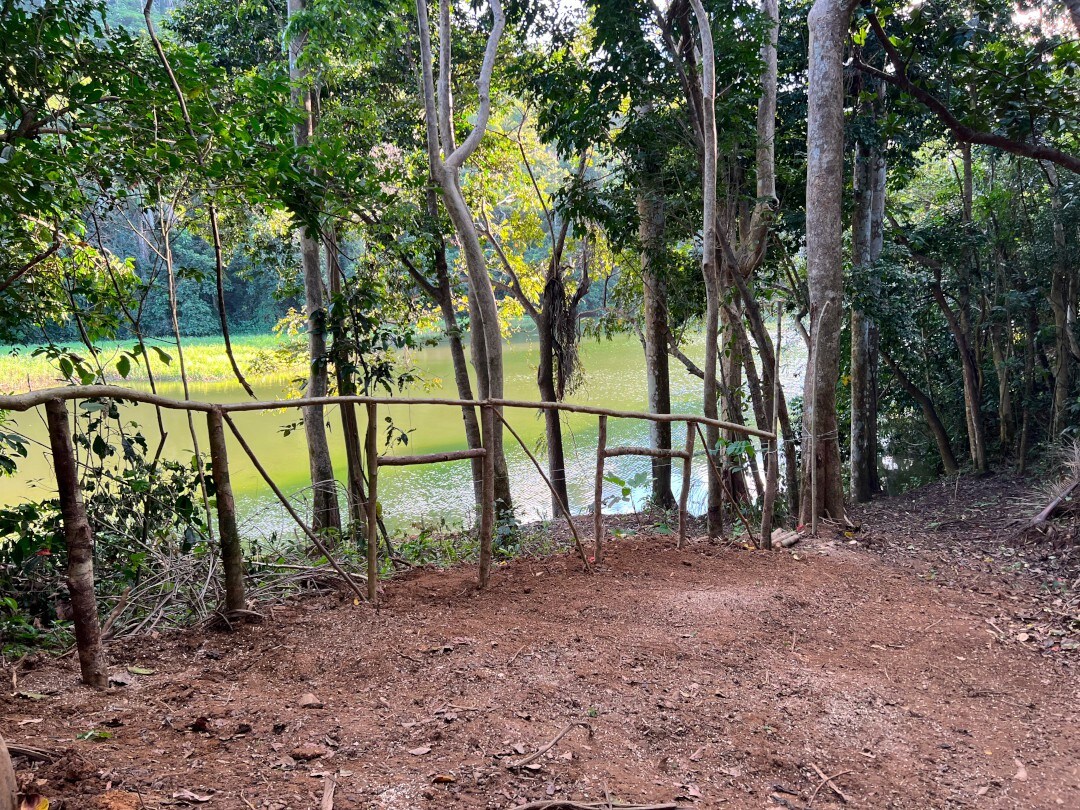 Lago y naturaleza: Aventura con caseta de acampar