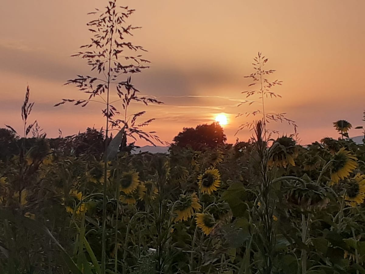 Séjour au soleil et au calme dans le Gers.