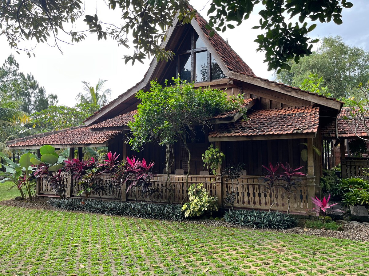 Enchanted Joglo Retreat: Wooden House Garden Oasis