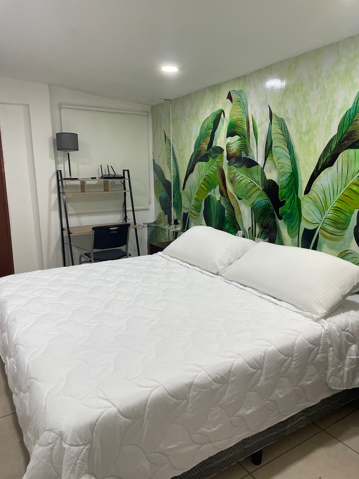 Santo Domingo King bed-one bedroom , fast wifi apt