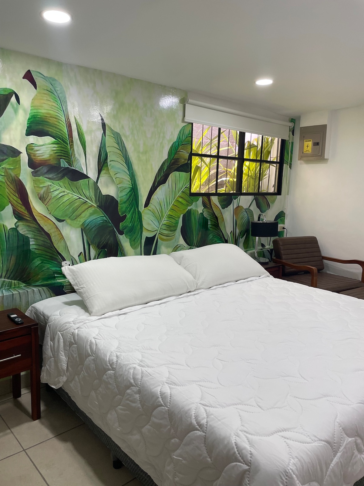 Santo Domingo King bed-one bedroom , fast wifi apt