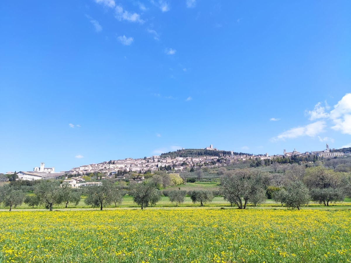 Appartamento tra Assisi e Santa Maria degli Angeli