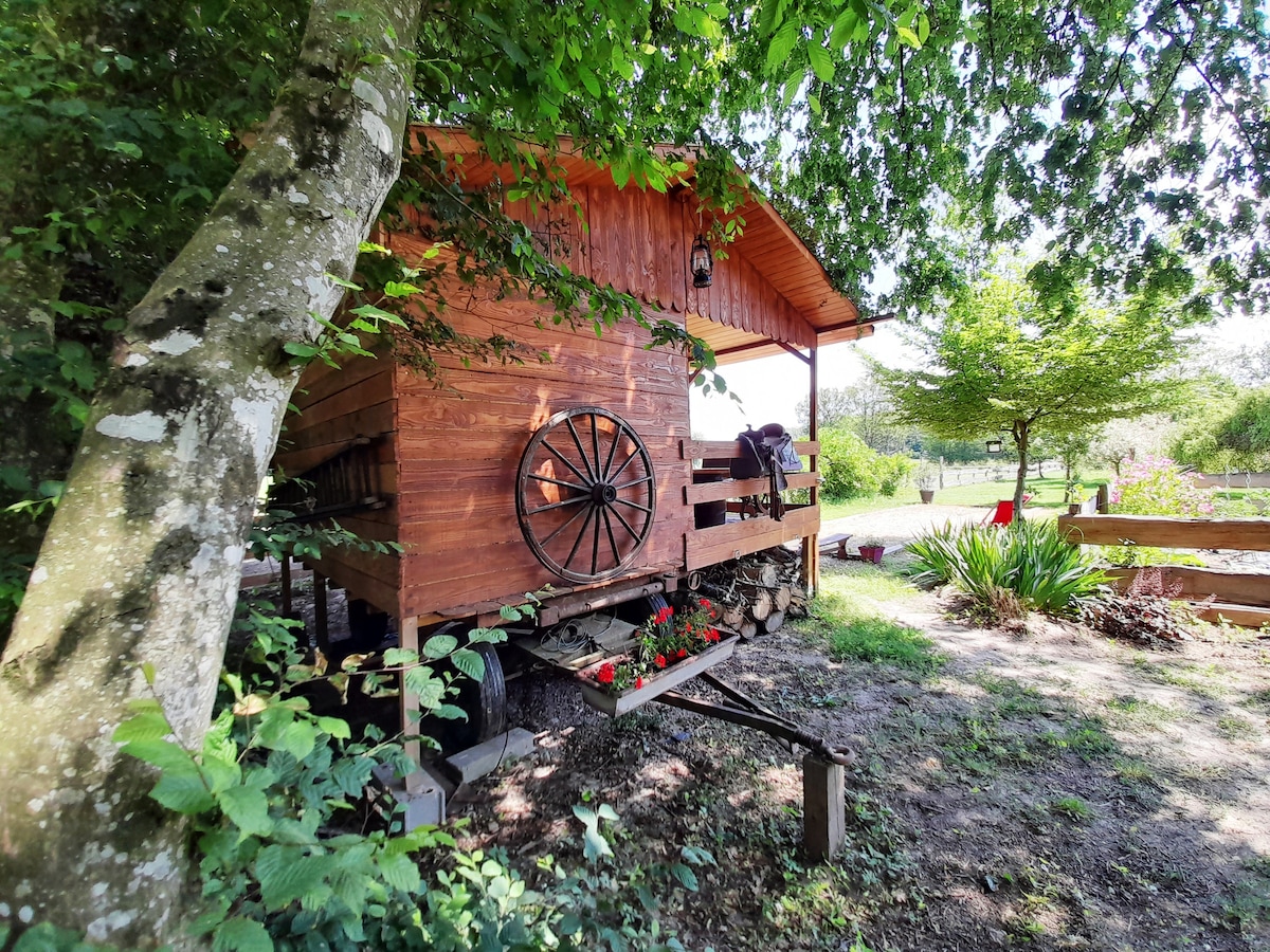 Cabane du cowboy