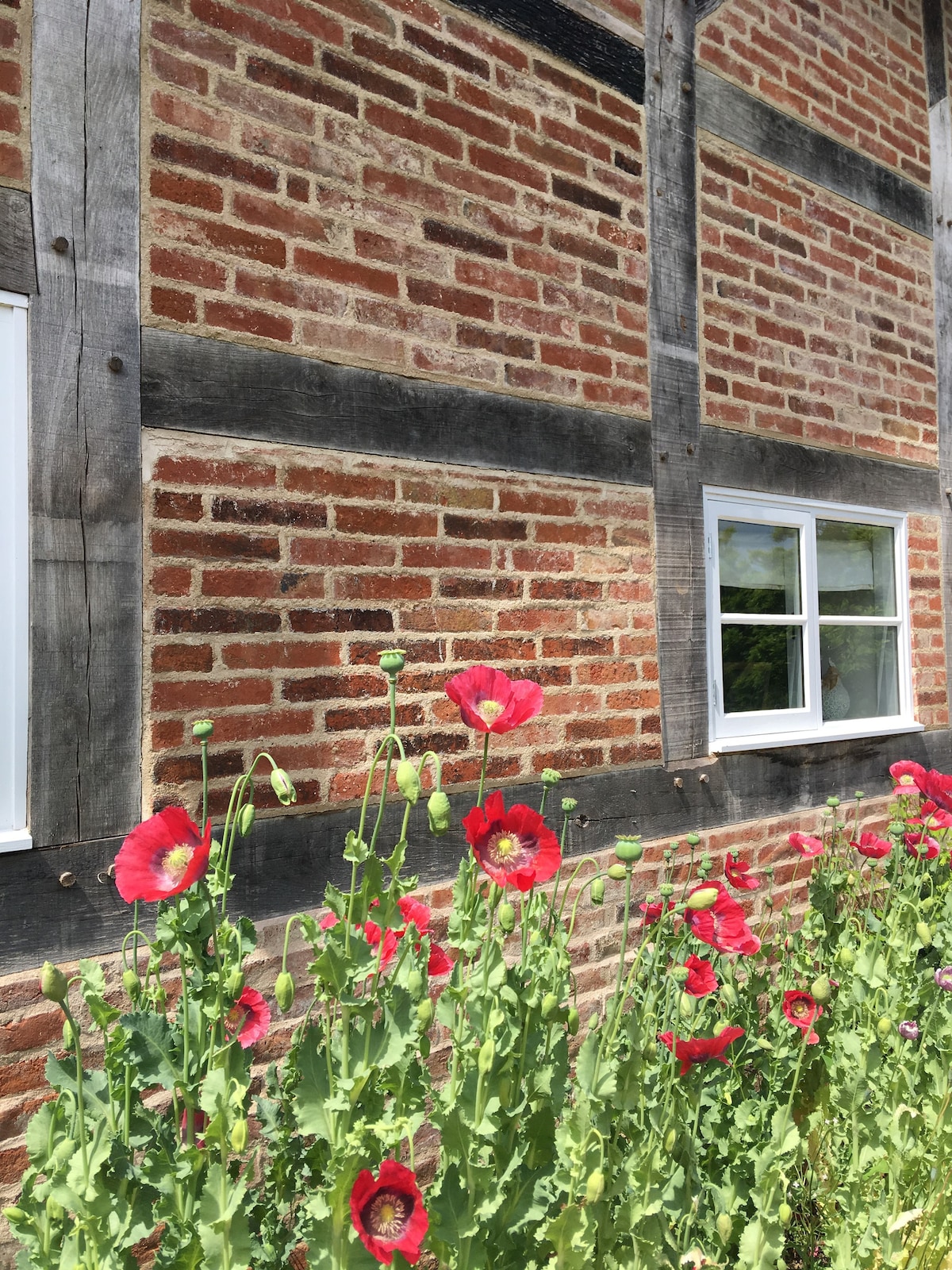 Apple Orchard Farm Annexe.  Rural & Peaceful