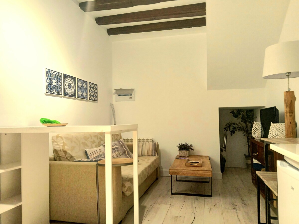 IE students 1bedroom Apartm 40m2 Plaza San Nicolas