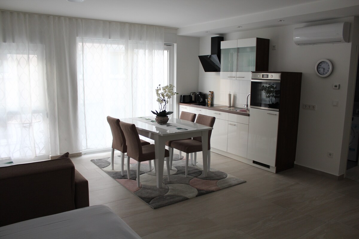 枫树公寓（ Maple Apartments ） -高标准单间公寓， 45平方米