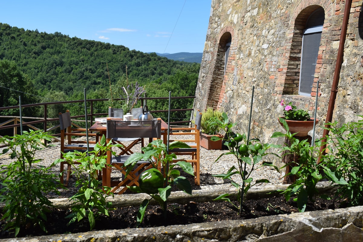 Casa in campagna, no barriere, piscina, Siena 18km