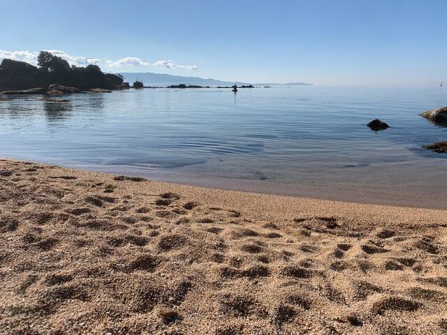 阿雅克肖（Ajaccio）的民宿