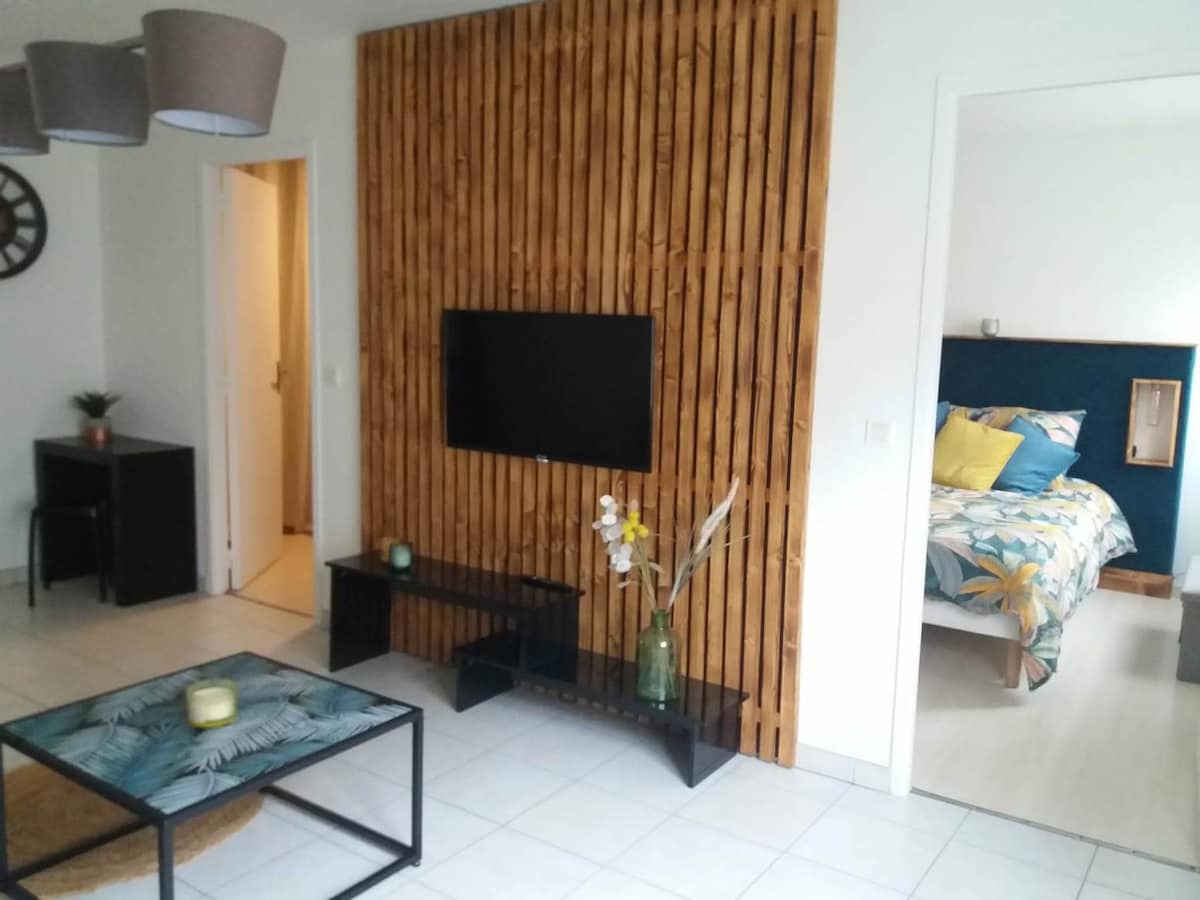 Appartement T3 avec extérieur