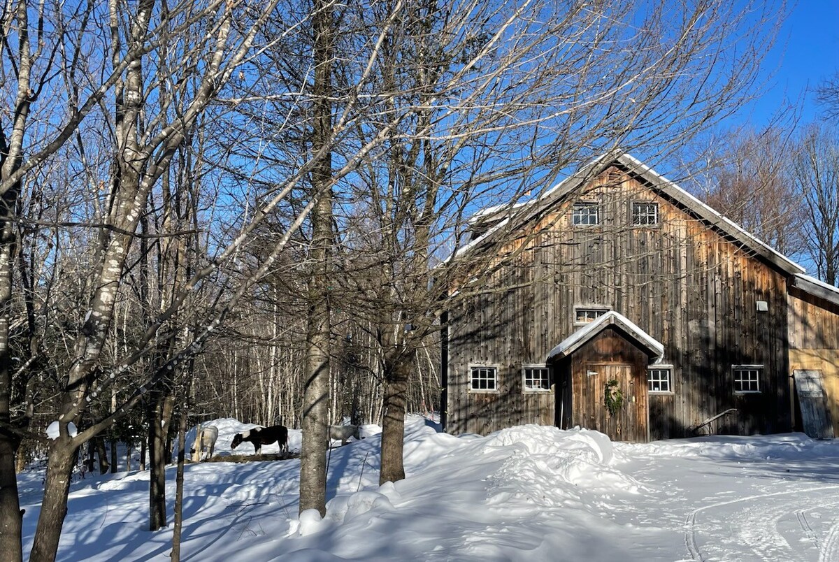 靠近Stowe New England度假胜地