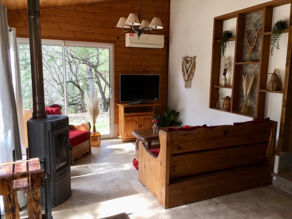 Chalet au milieu des pins