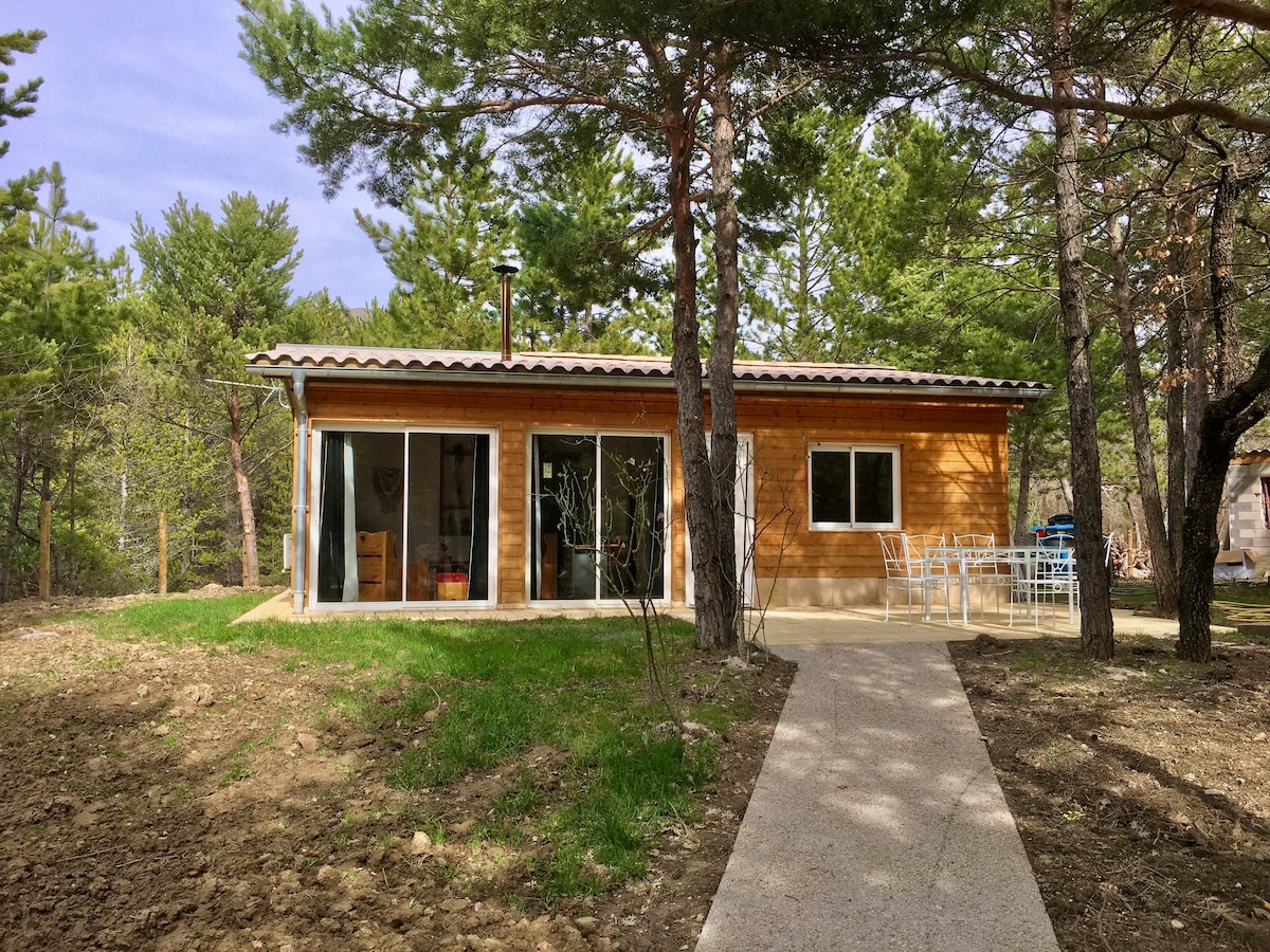 Chalet au milieu des pins