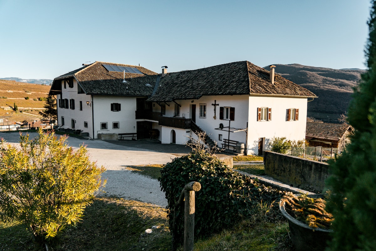 Arzenhof Baron Di Pauli, Apartment Golden