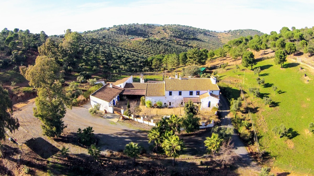 Antiguo Molino de Aceite. Finca Molino Don Zoilo