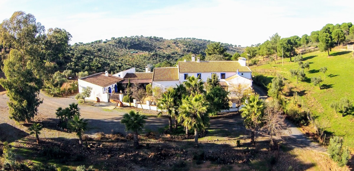 Antiguo Molino de Aceite. Finca Molino Don Zoilo