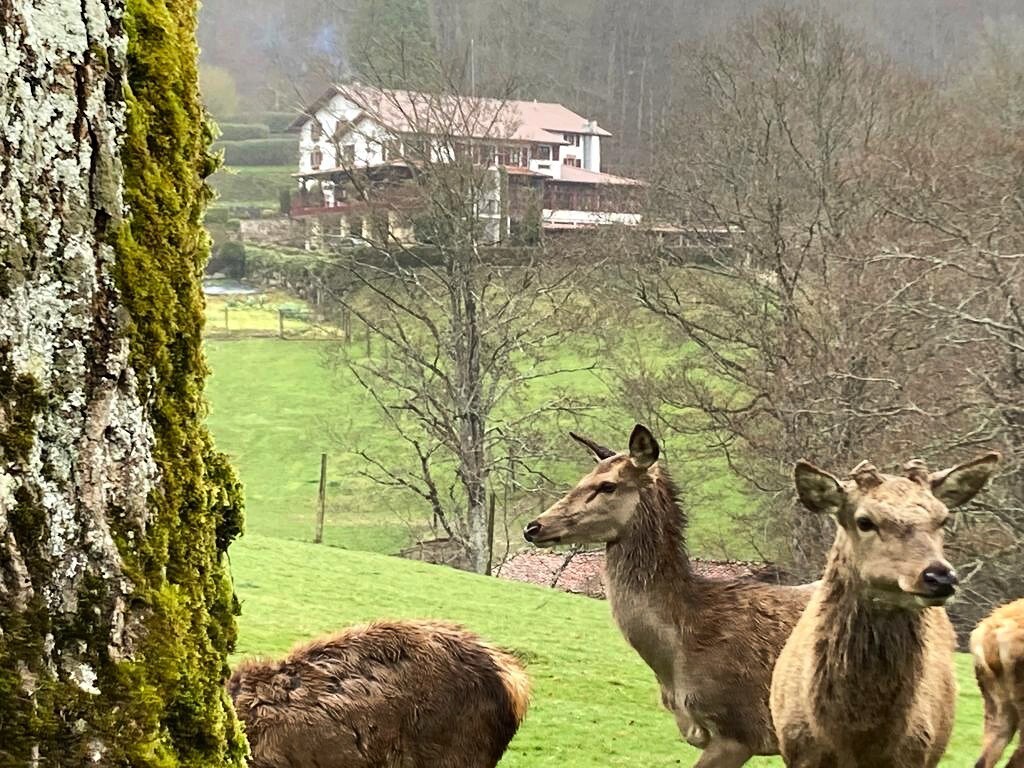 Hotel Rural Venta de Ulzama