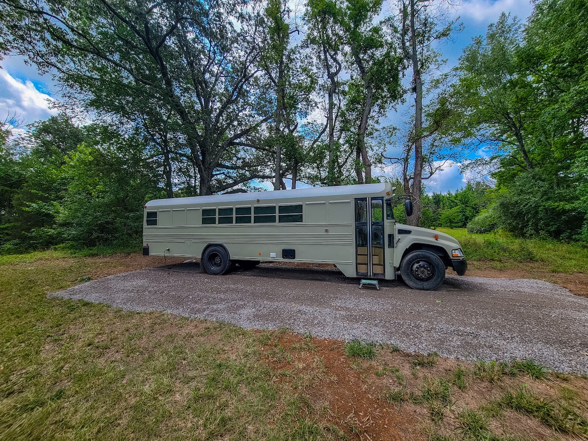 Skoolie near the Shawnee
Vienna, Illinois