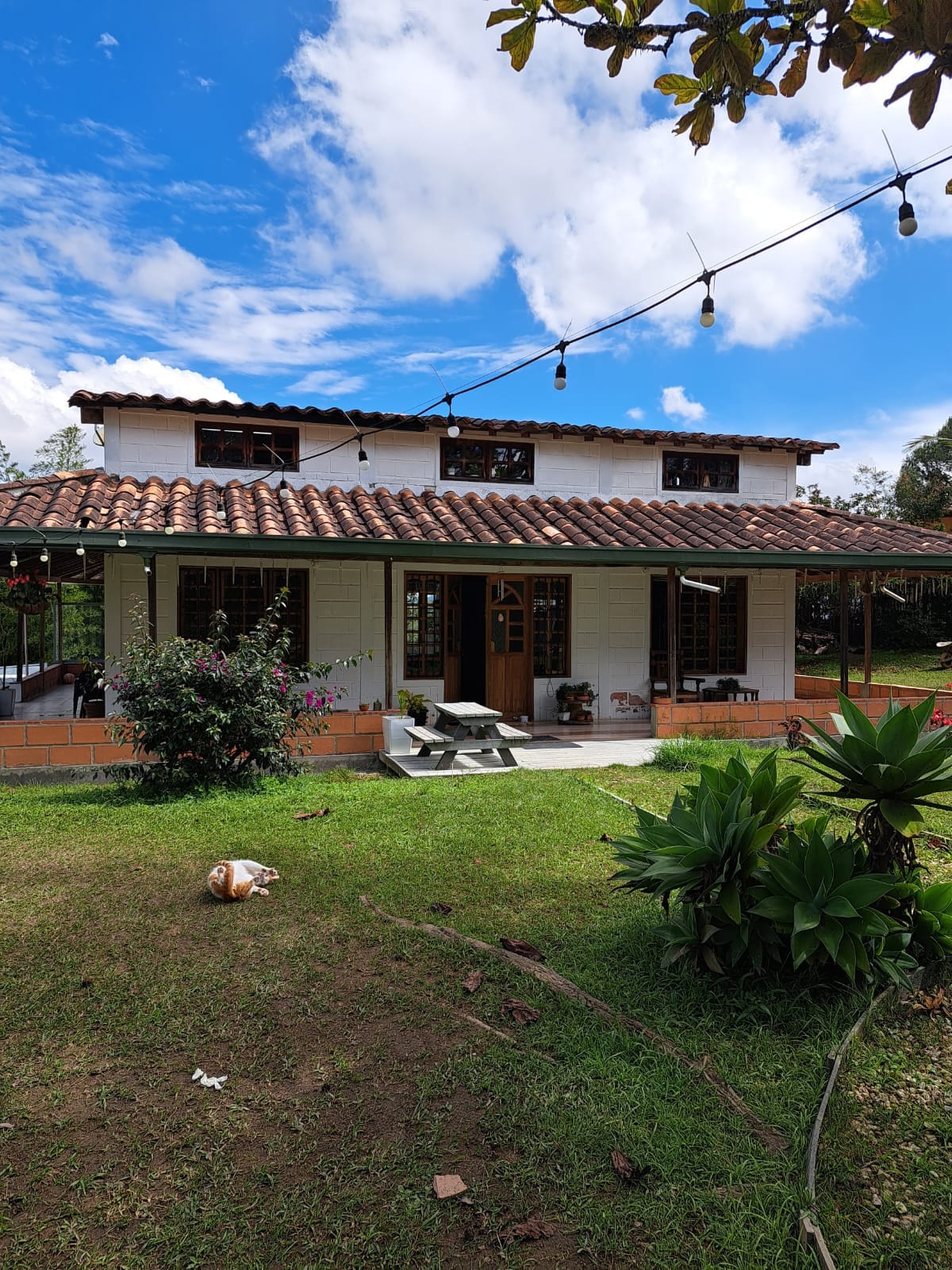 Espectacular refugio en el campo en Rionegro