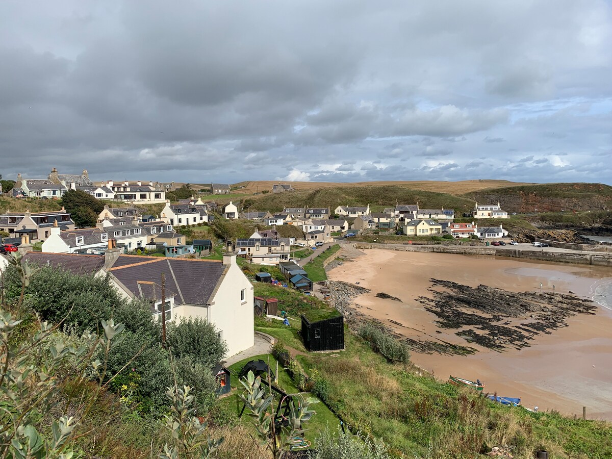 ‘Buckies’ - beach front cottage.