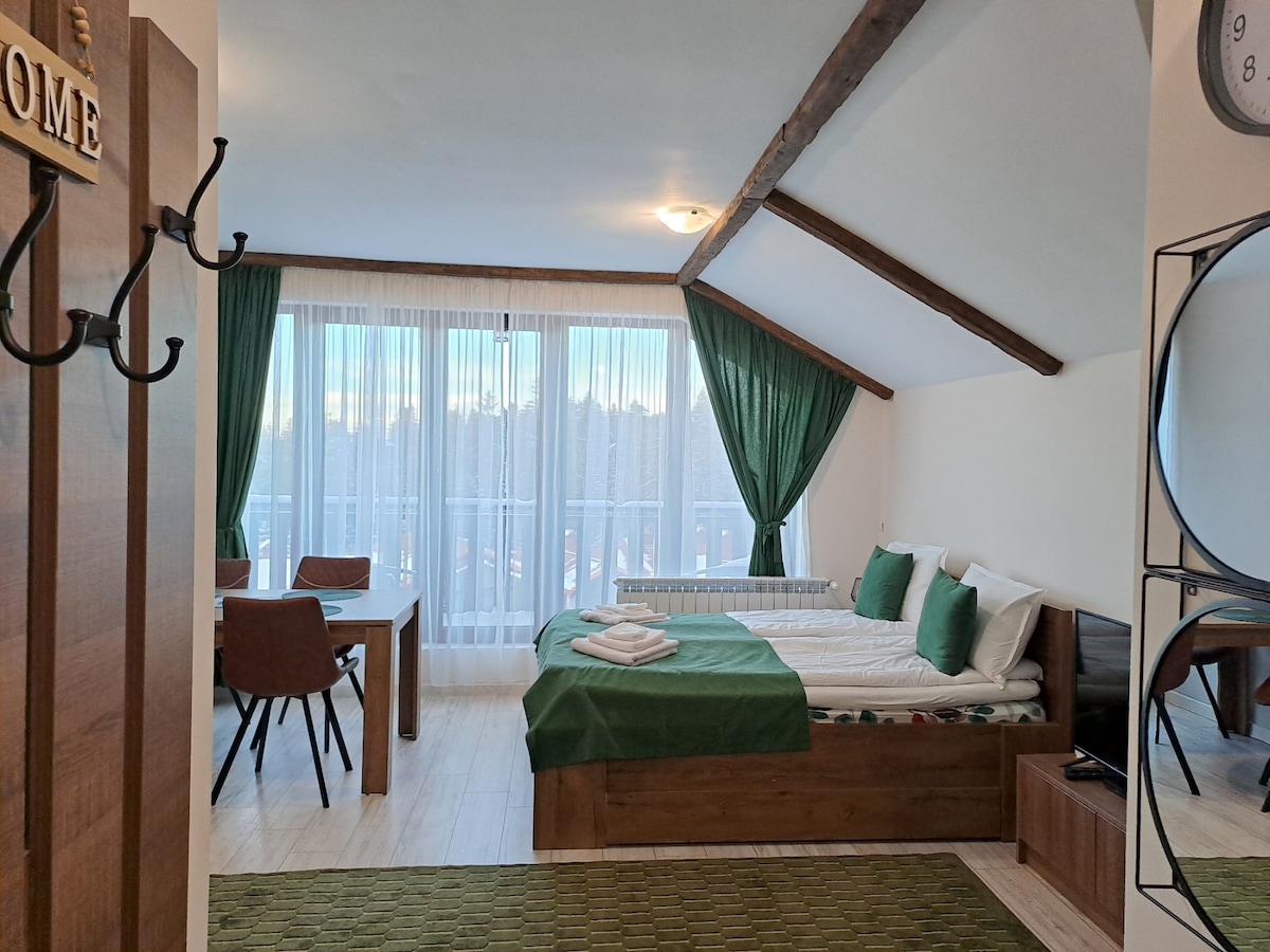 Spacious studio for 4, Borovets