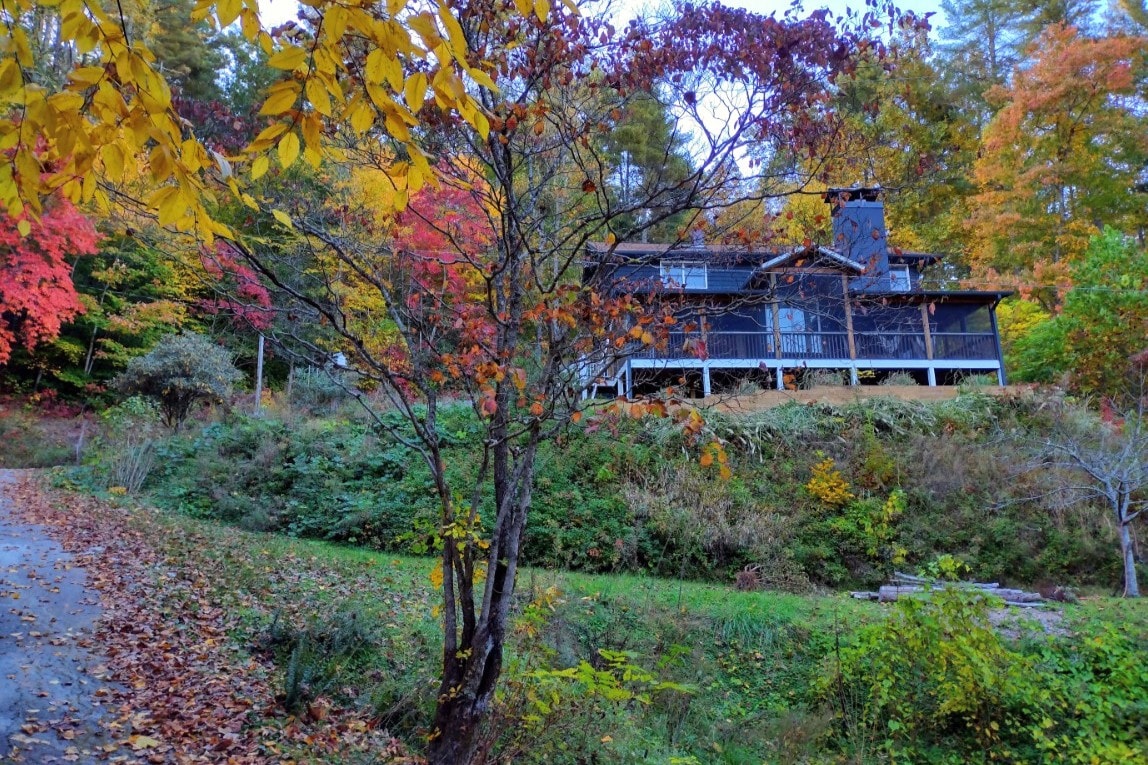 Cozy 3 BR mountain cottage w/large screened porch