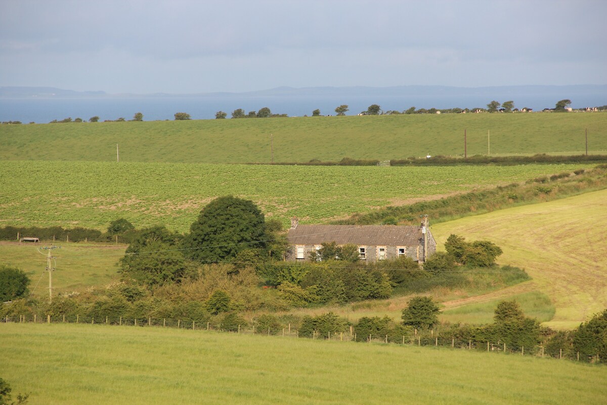 Charming Galloway cottage - beaches & walks nearby