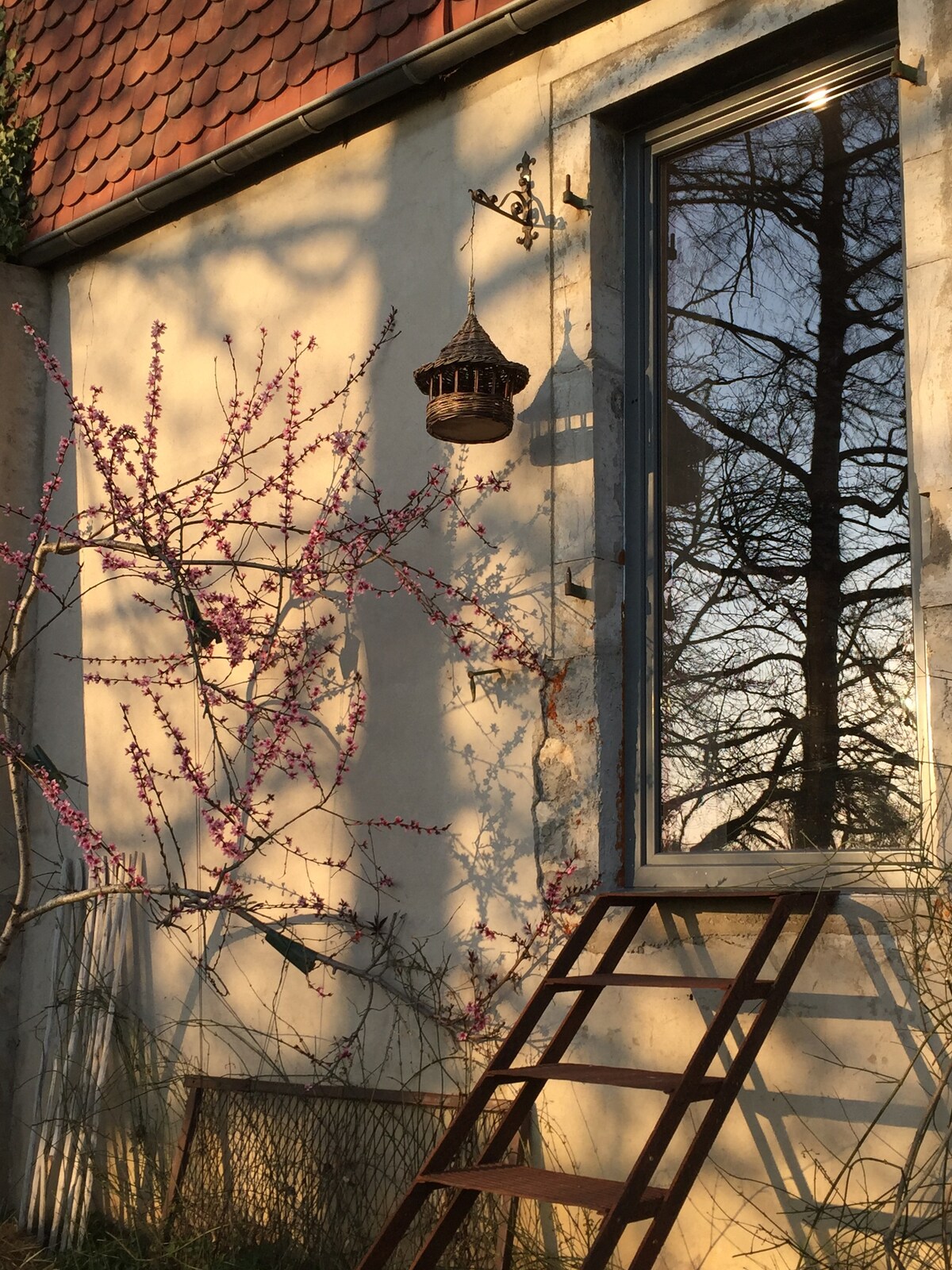 Studio cosy à la ferme de Burgille