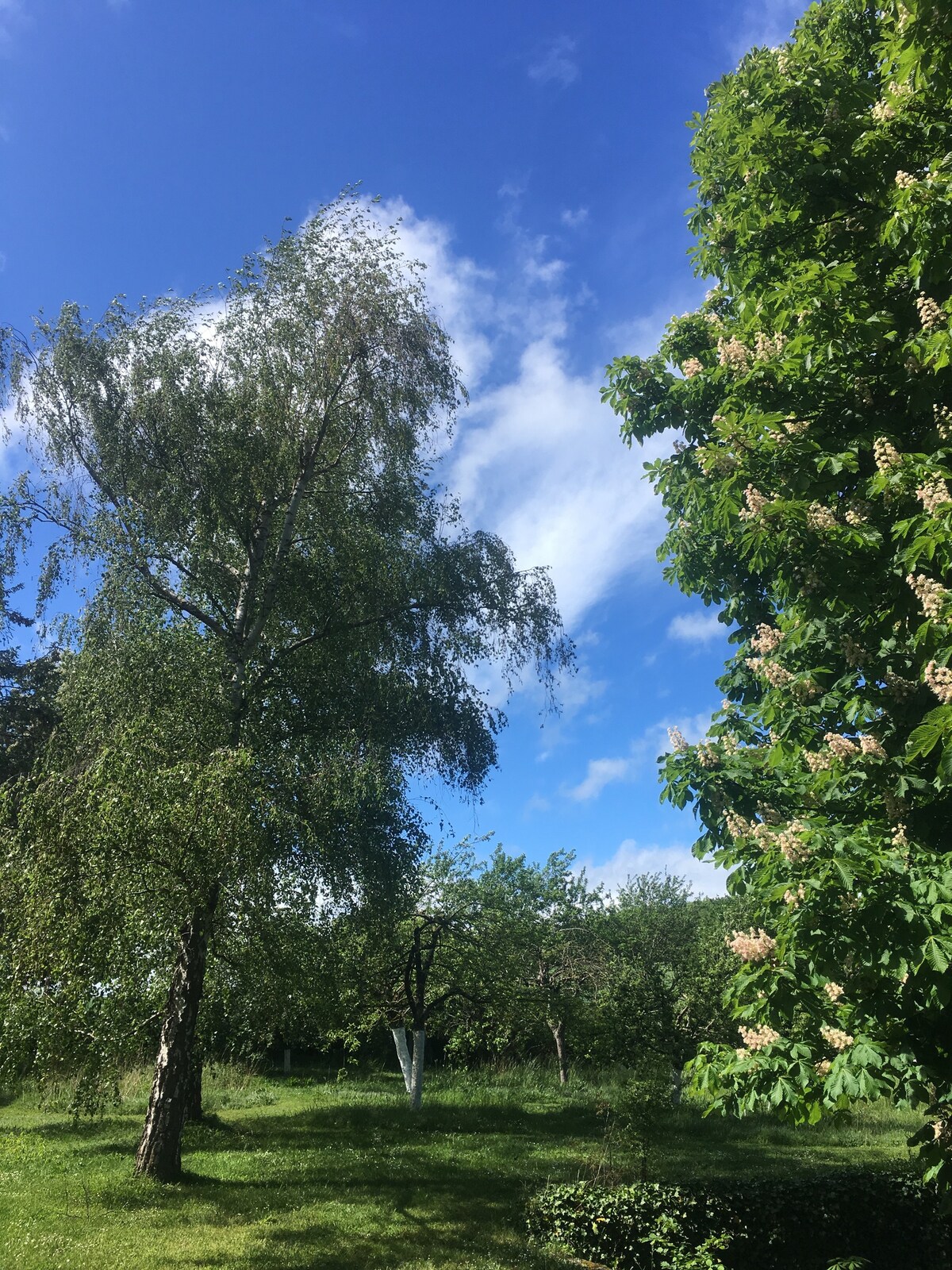 毗邻的小屋，大花园。