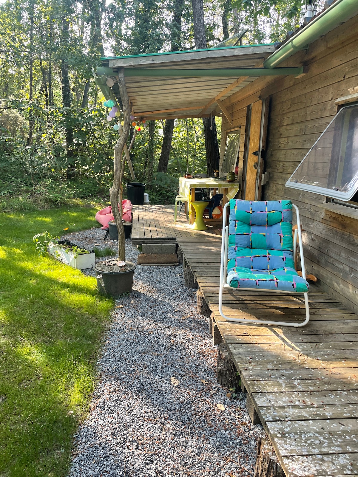 Chalet et roulotte Ty cosy dans la forêt