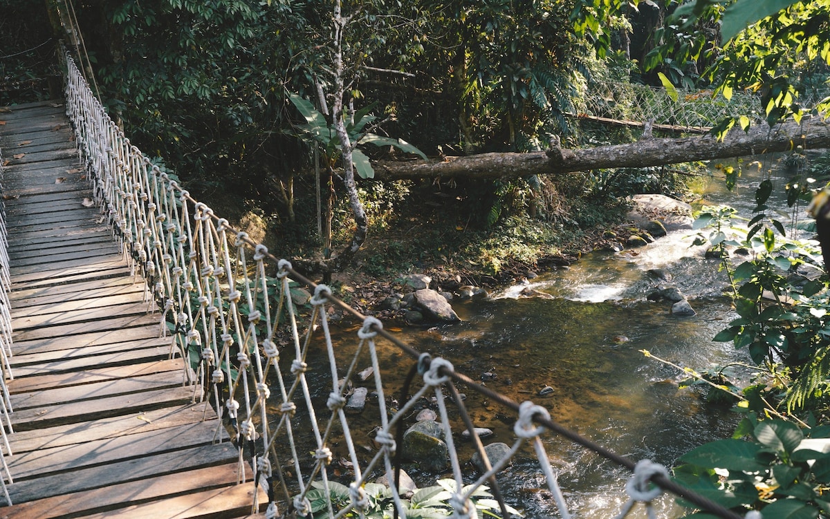 瀑布旁边的雨林小屋