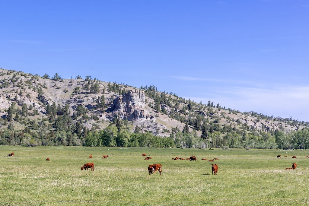 Cherry Creek Ranch on the beautiful Boulder River