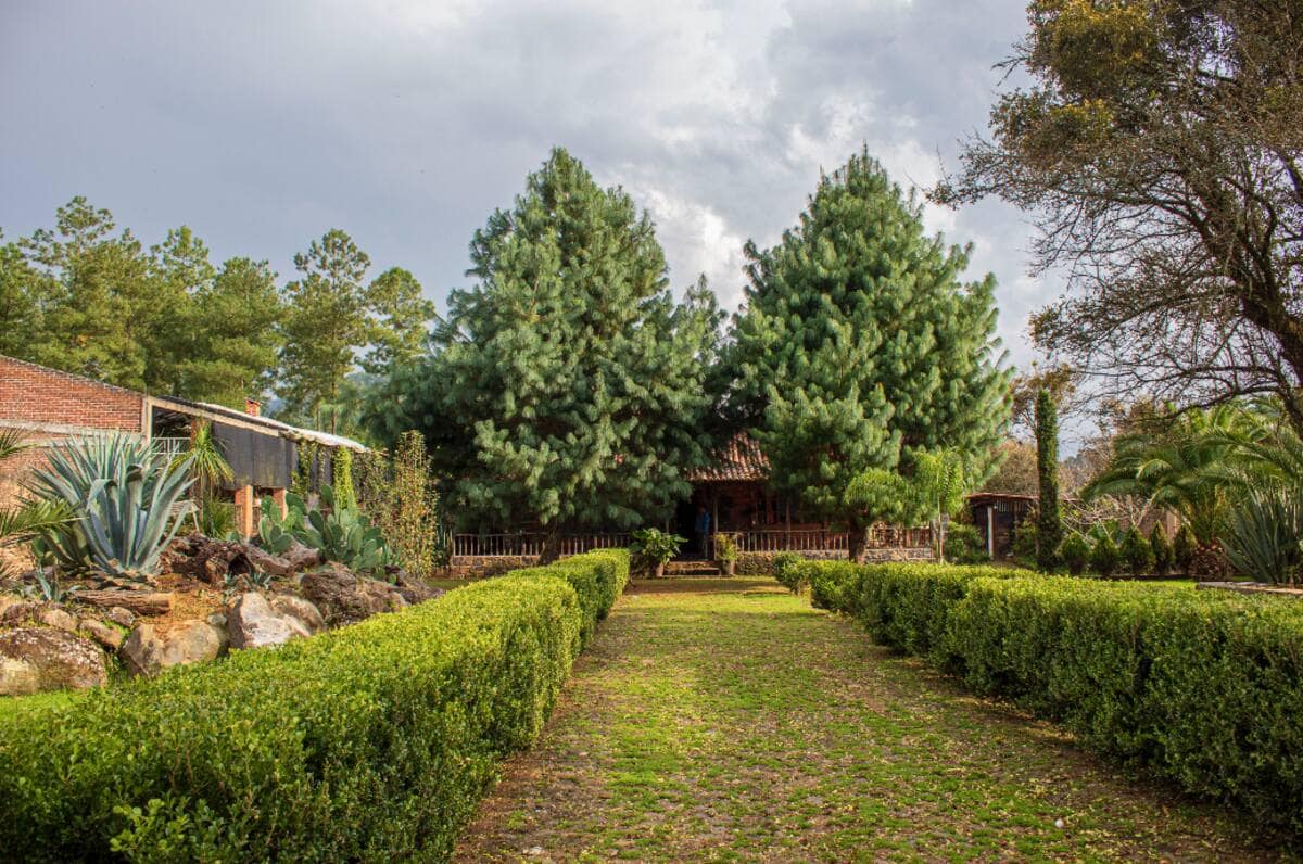 Cabaña Bosque Real Pátzcuaro, Mich