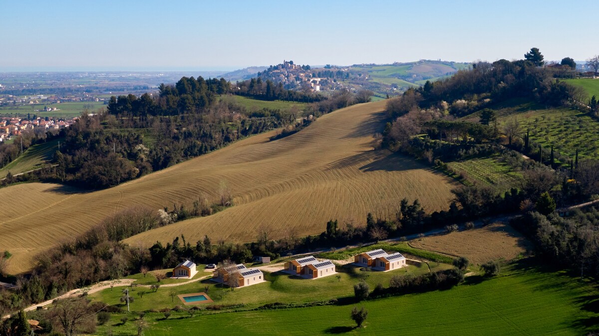 Orto della Lepre, Casetta Timo